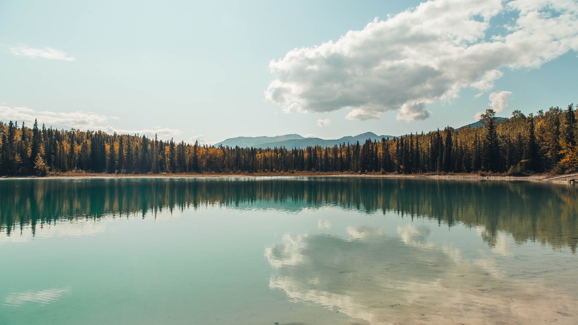 _海底探秘:潜水泅渡中的水肺网球挑战_,水肺潜水视频