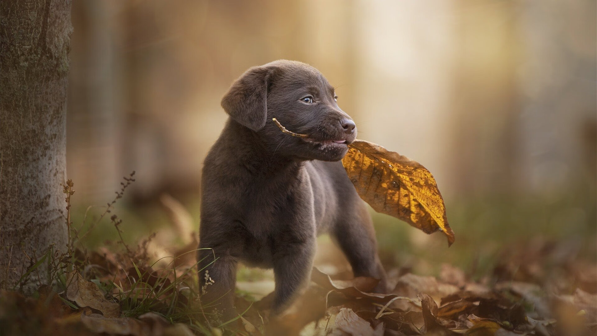 中超豪门青训体系全面升级，稳步向前走，中超青训大户